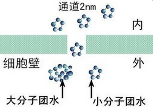 小分子團水